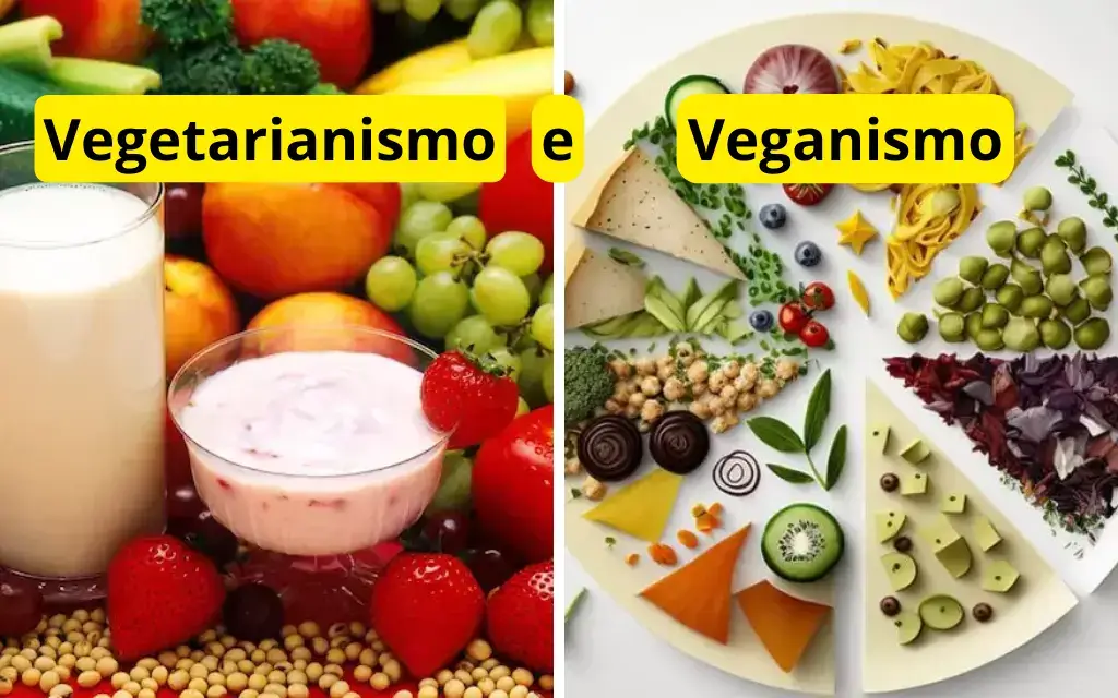 Diferença Entre Veganismo E Vegetarianismo Explained 3064